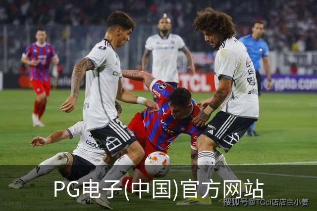 PG电子(中国)官方网站